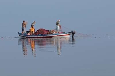 Appel à consultation : Élaboration du Plan d’Action National Plus (NAP+) et de son plan d’investissement pour la Tunisie, alignés sur les objectifs et cibles du SAPBIO Post-2020